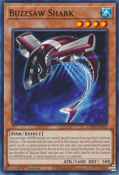 Buzzsaw Shark (Common) [LED9-EN052-C]