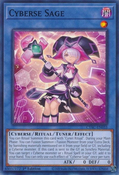 Cyberse Sage (Common) [CYAC-EN033-C]