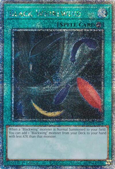 Black Whirlwind (Quarter Century Secret Rare) [RA03-EN219-QCSR]