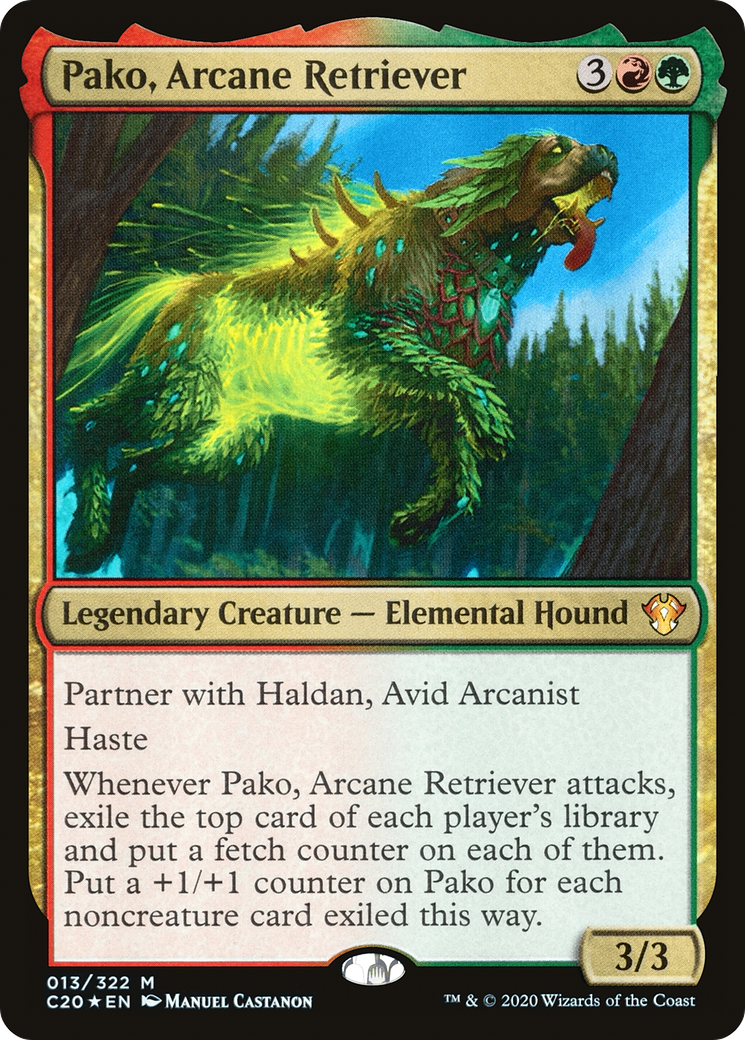 Pako, Arcane Retriever [C20-13]