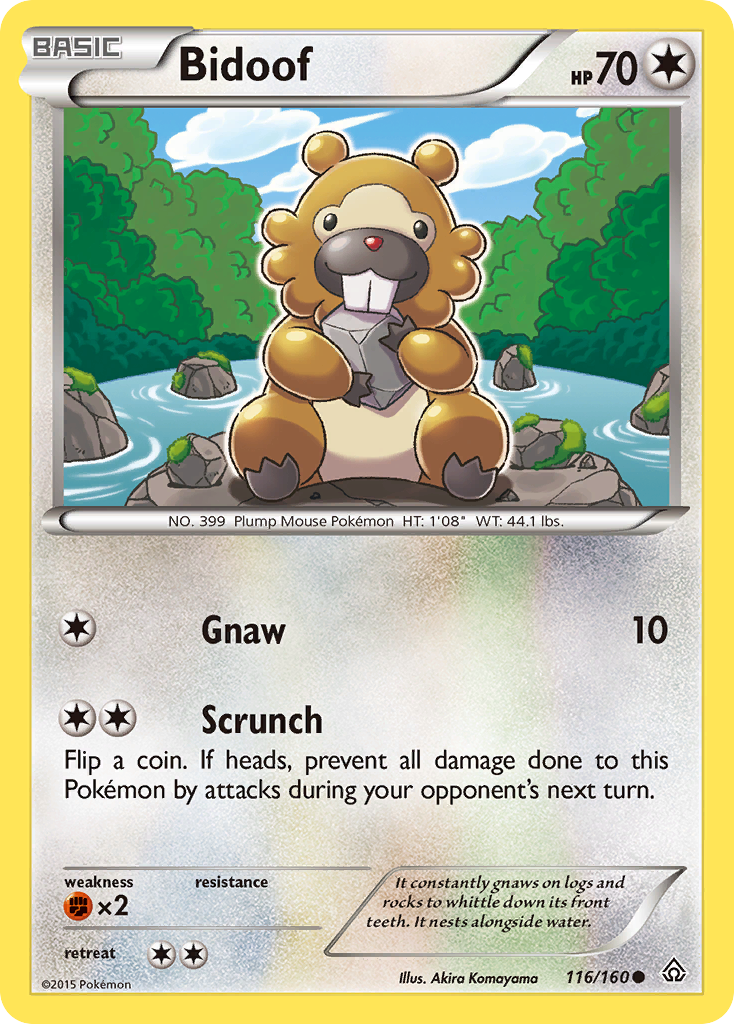 Bidoof [XY5-116]