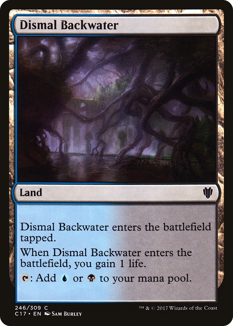 Dismal Backwater [C17-246]