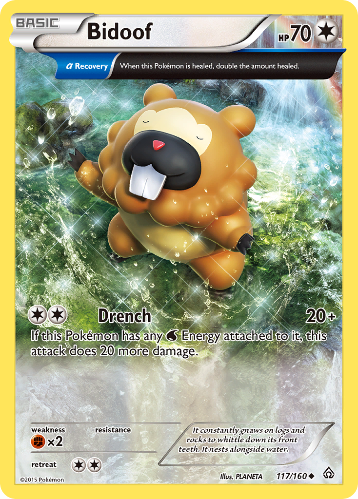 Bidoof [XY5-117]