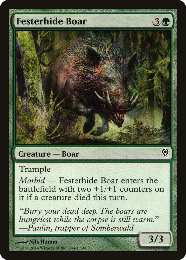 Festerhide Boar [DDM-59]