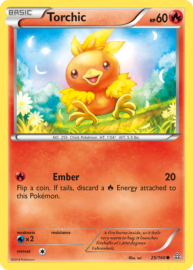 Torchic [XY5-25]