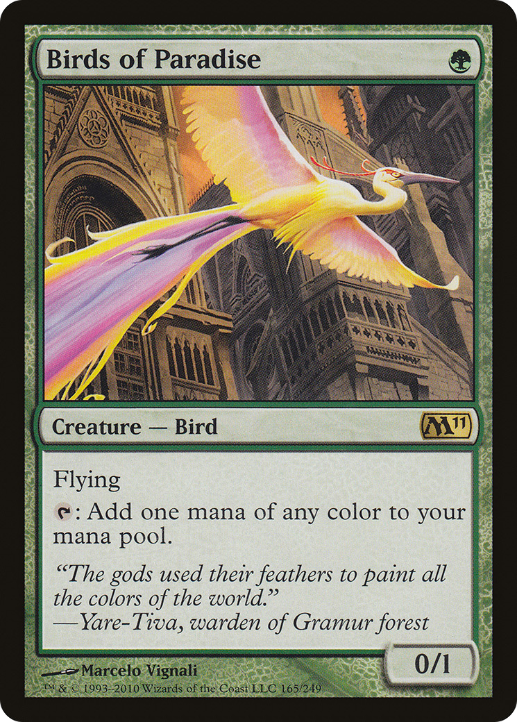 Birds of Paradise [M11-165]