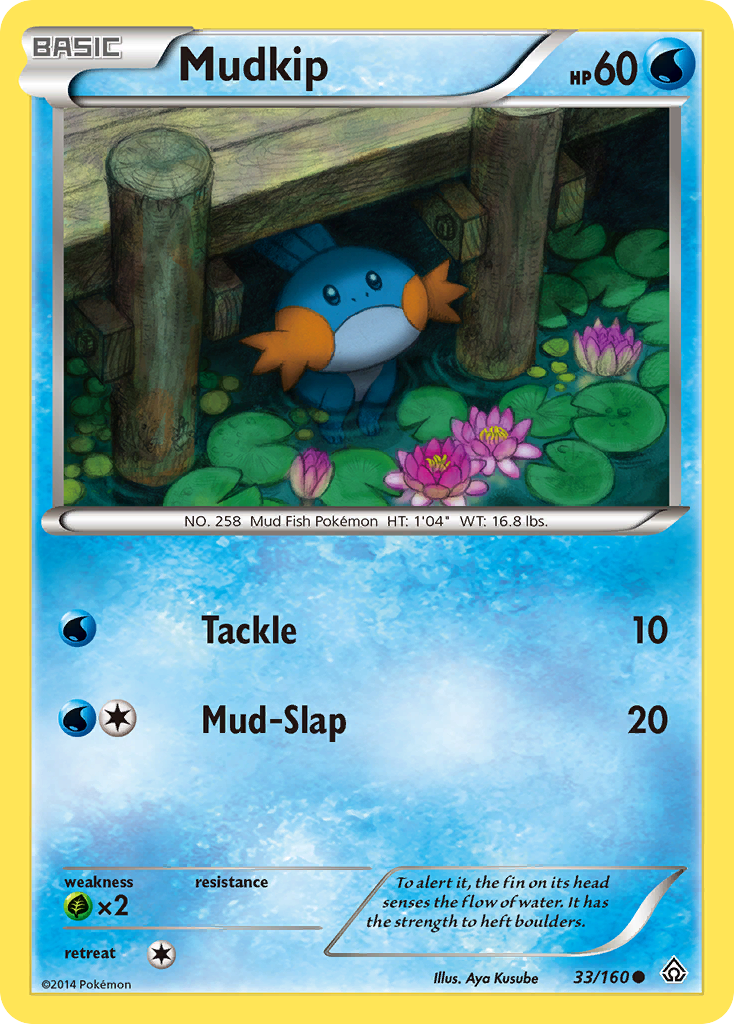 Mudkip [XY5-33]