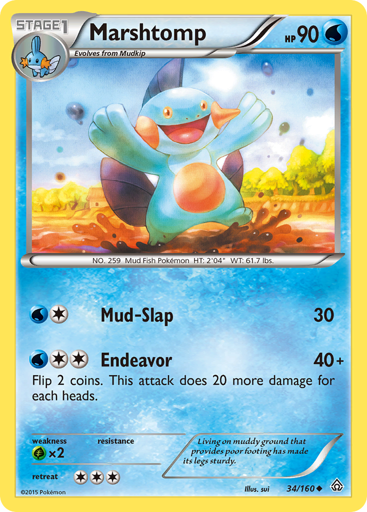 Marshtomp [XY5-34]