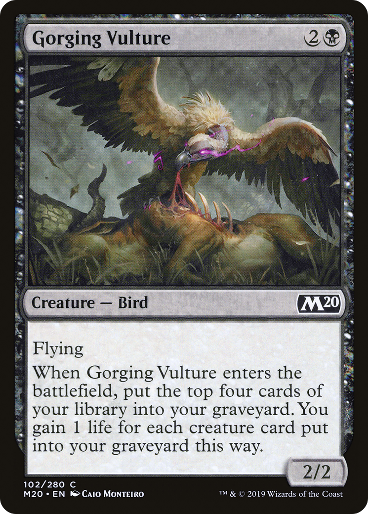 Gorging Vulture [M20-102]