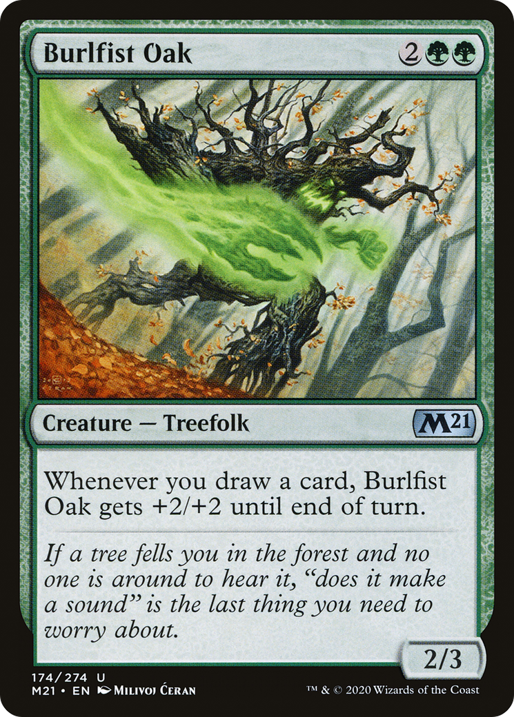 Burlfist Oak [M21-174]