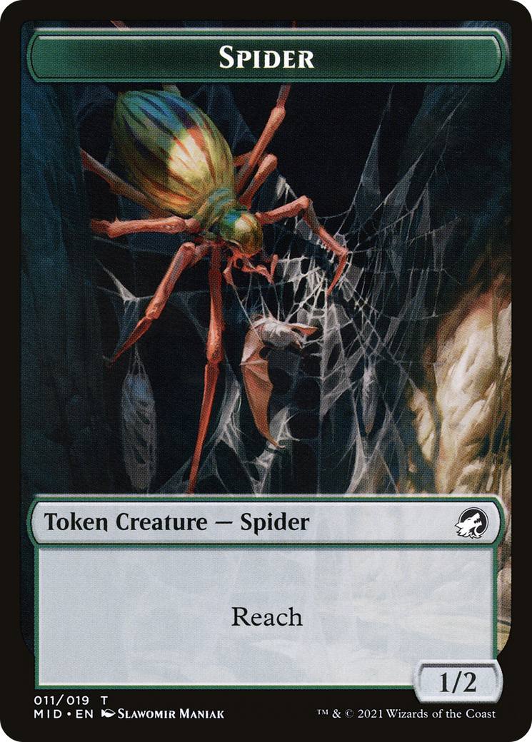 Spider [TMID-11]