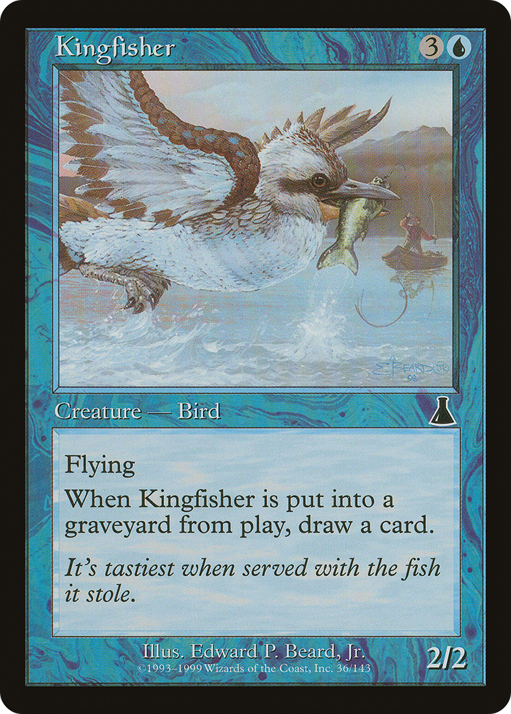 Kingfisher [UDS-36]