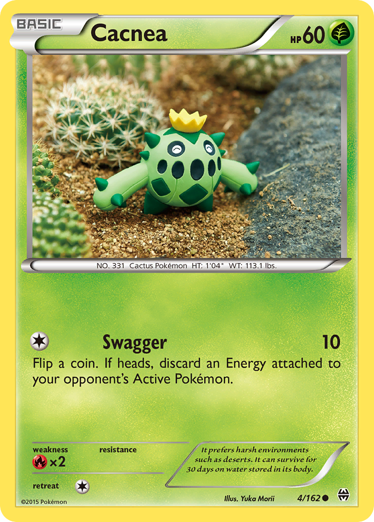 Cacnea [XY8-4]