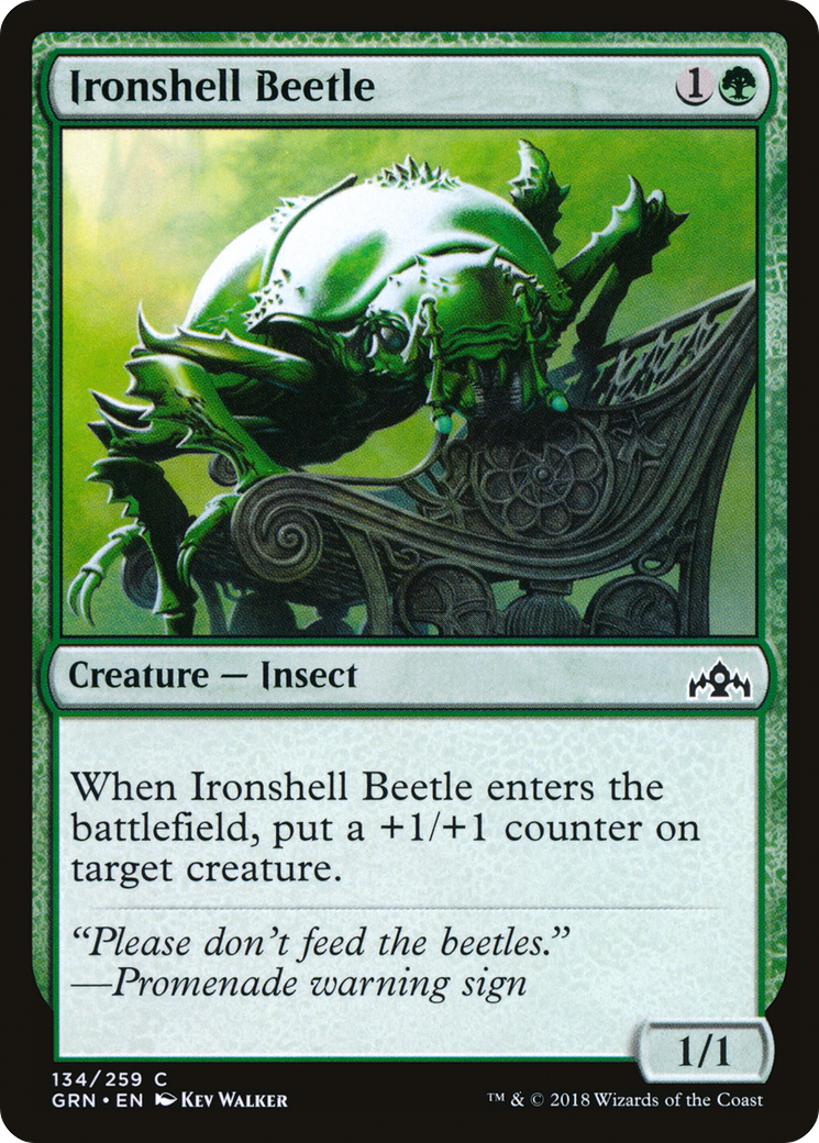 Ironshell Beetle [GRN-134]