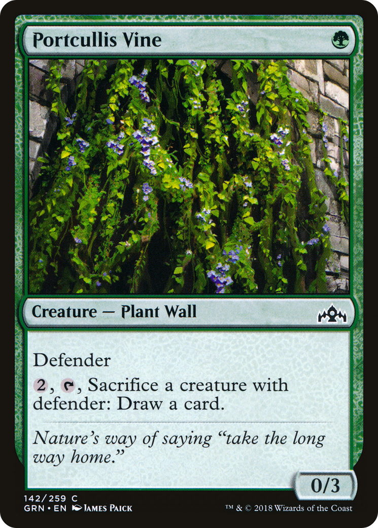 Portcullis Vine [GRN-142]