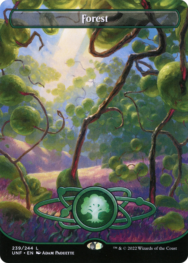 Forest - Borderless - Full Art [UNF-239]