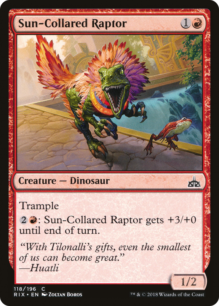 Sun-Collared Raptor [RIX-118]