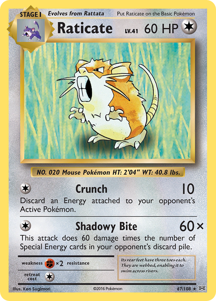 Raticate [XY12-67]