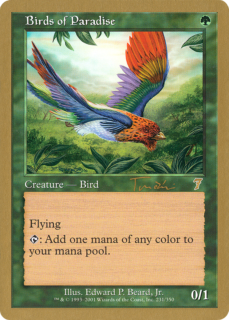 Birds of Paradise [WC01-jt231]