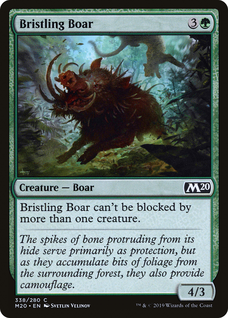 Bristling Boar [M20-338]