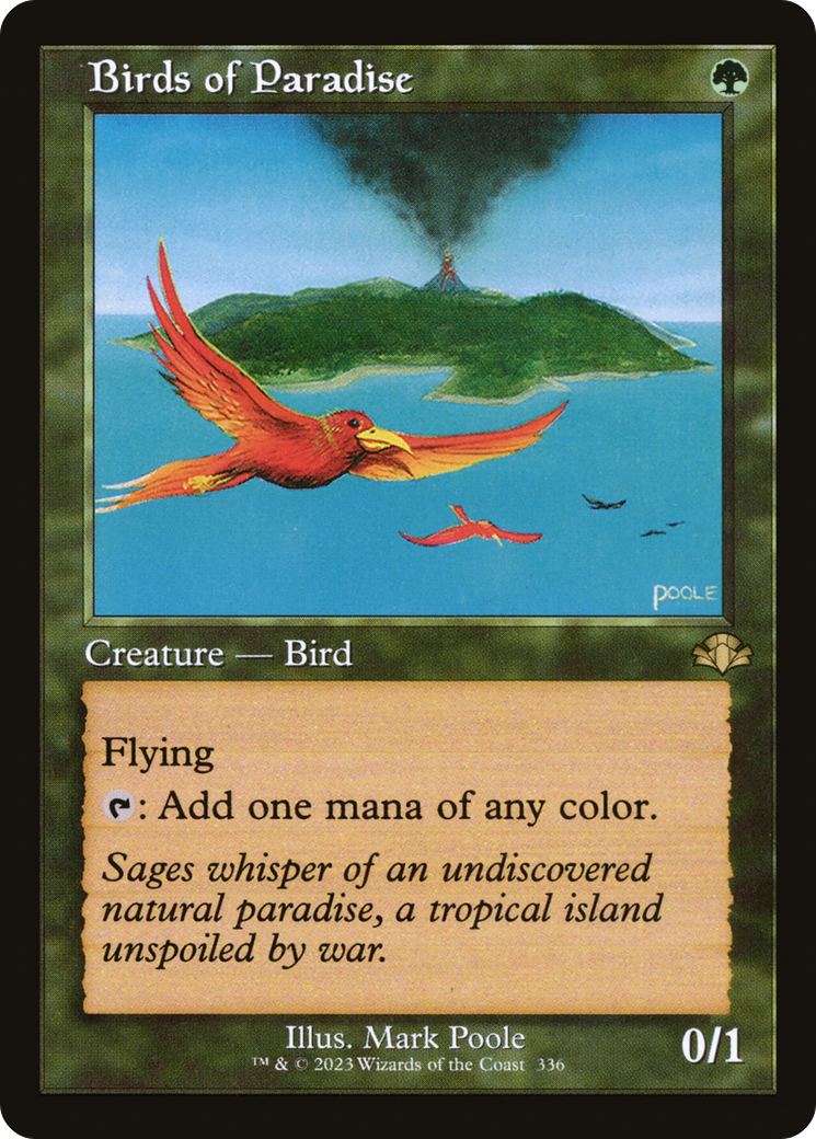 Birds of Paradise [DMR-336]