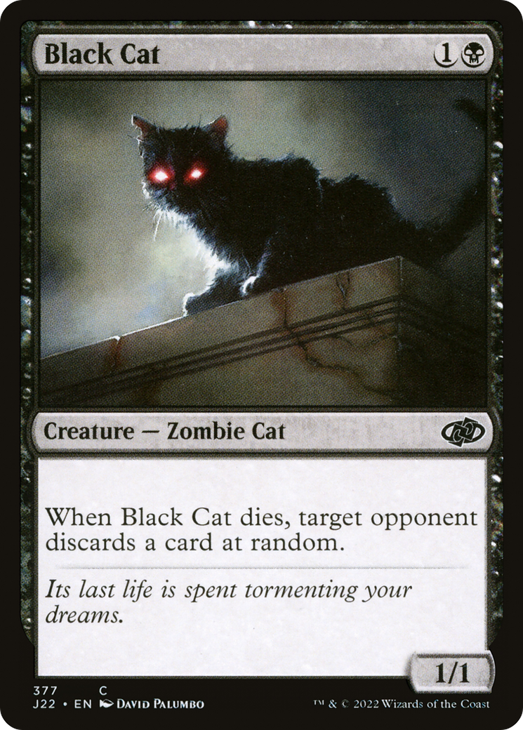 Black Cat [J22-377]