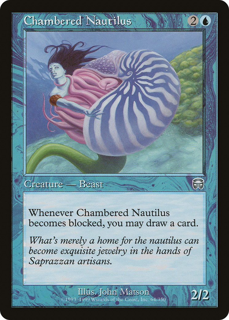 Chambered Nautilus [MMQ-64]