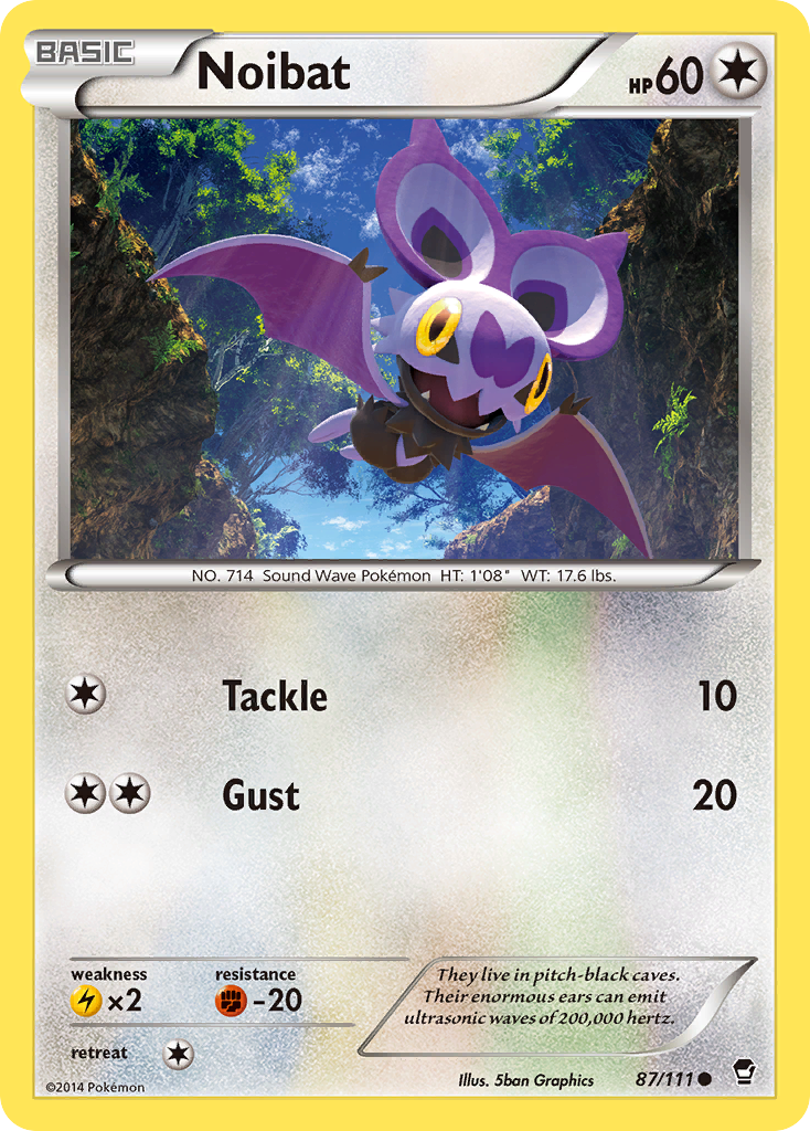 Noibat [XY3-87]