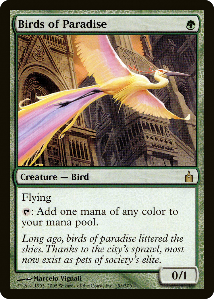 Birds of Paradise [RAV-153]