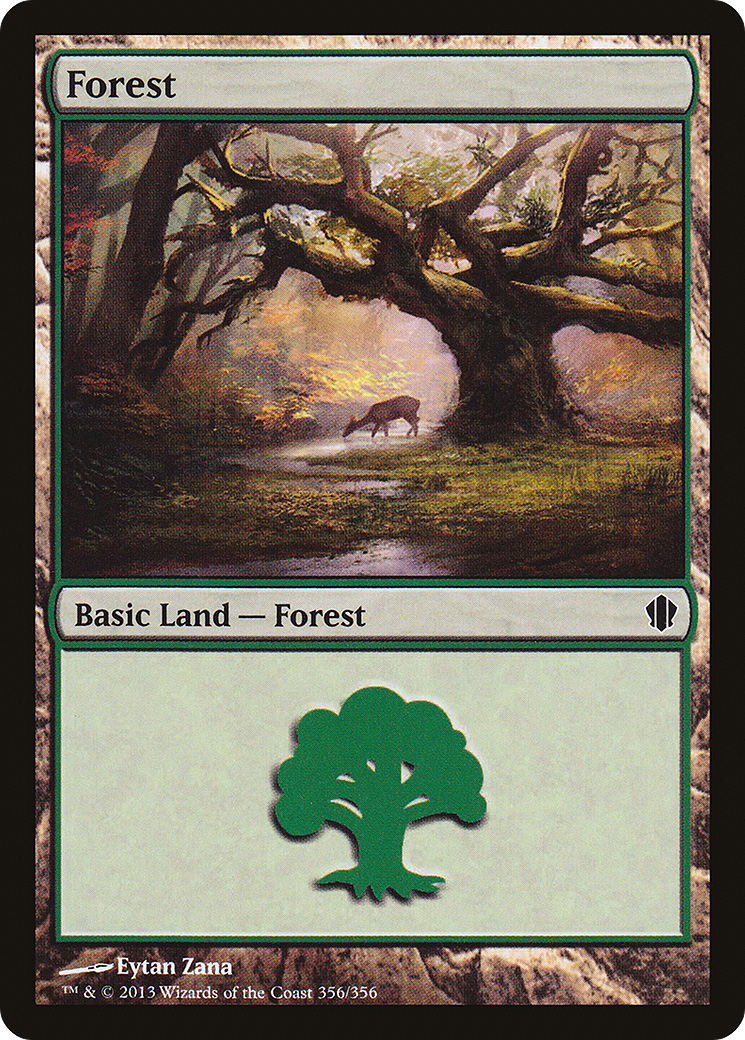 Forest [C13-356]