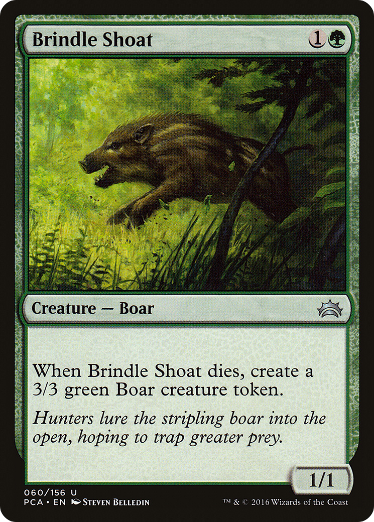 Brindle Shoat [PCA-60]