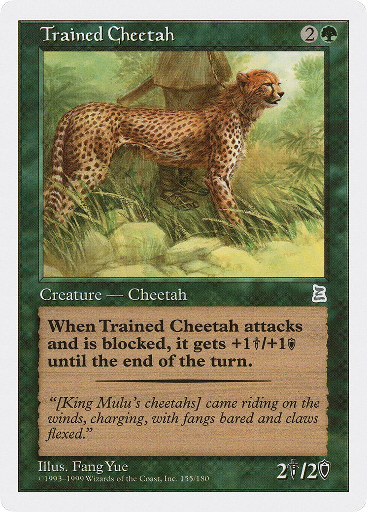 Trained Cheetah [PTK-154]