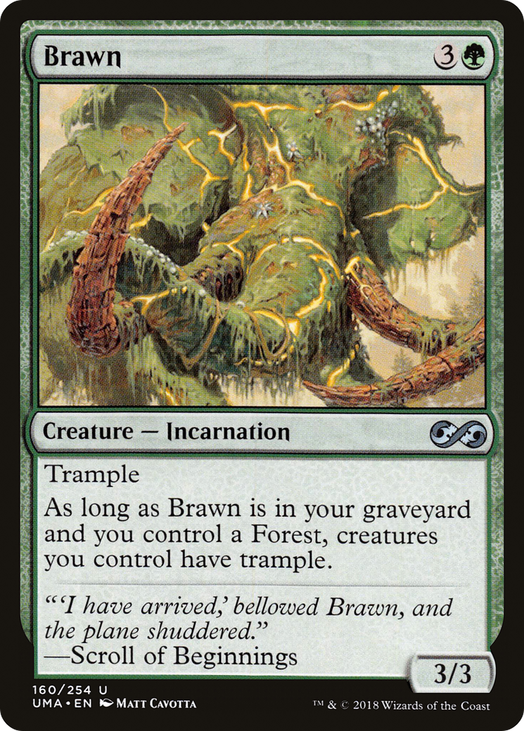 Brawn [UMA-160]