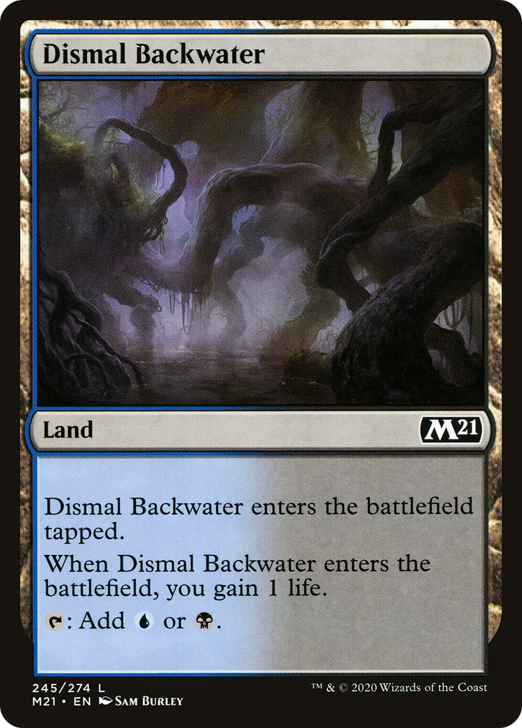 Dismal Backwater [M21-245]