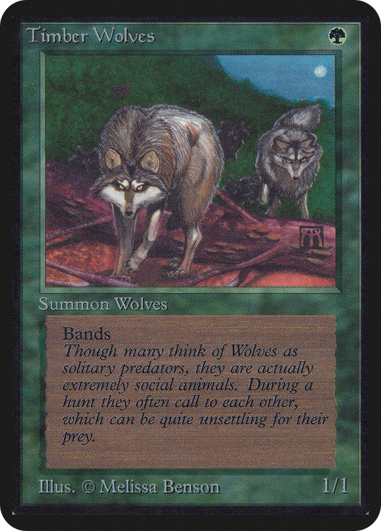 Timber Wolves [LEA-219]