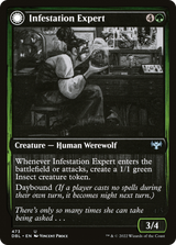 Infestation Expert // Infested Werewolf [DBL-473]