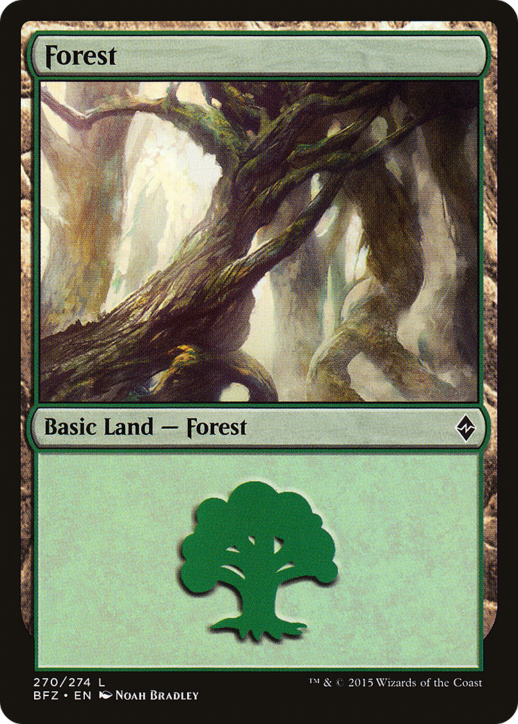 Forest [BFZ-270a]